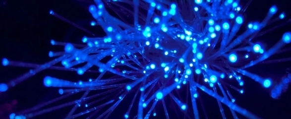 日本新技術(shù)創(chuàng)數(shù)據(jù)傳輸速度新紀(jì)錄 每秒319Tb，重塑電子產(chǎn)品未來